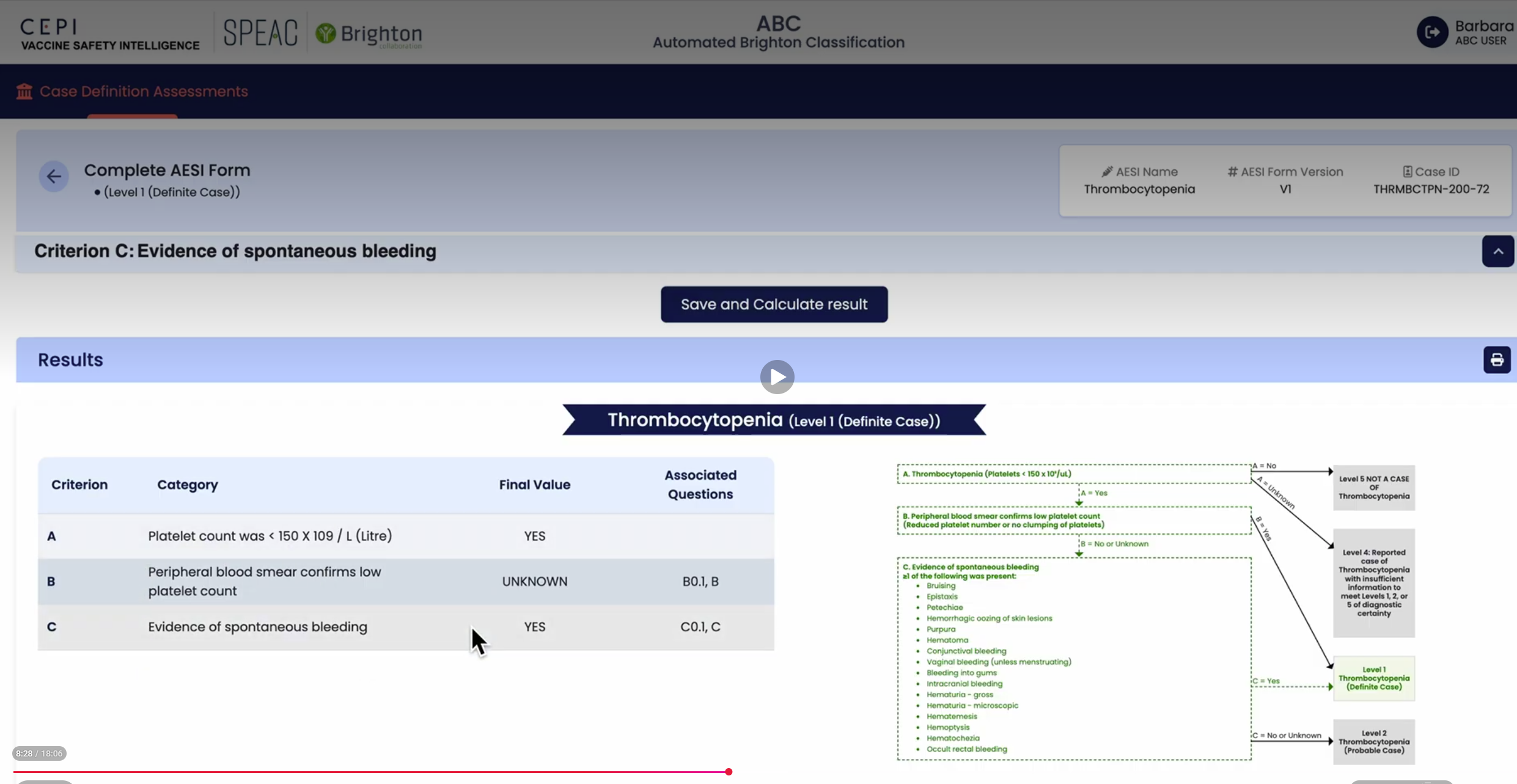 Screenshot of the Automated Brighton Classification Tool
